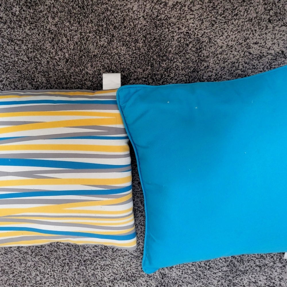Pair of Outdoor Pillows